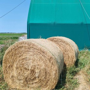 ROLO BALIRKA - PREŠA, VICON 187