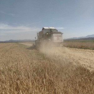 Prodajem Claas dominator 98 sl maxi
