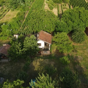 Vinograd s vikendicom