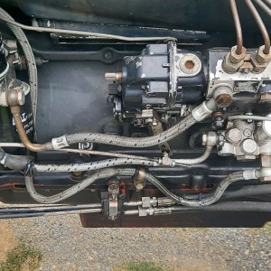 TORPEDO 75 Adriatic
