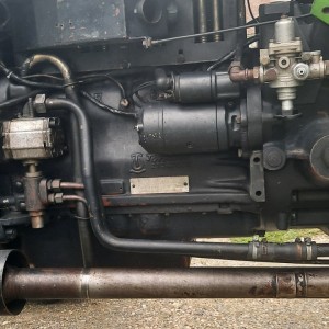 TORPEDO 75 Adriatic