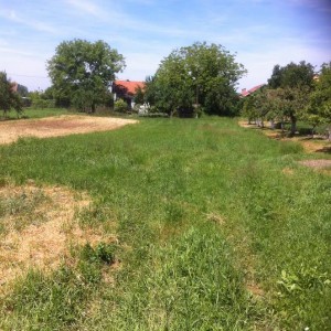 Građevinsko zemljište, Jasenovac, Hrvatska, 1630 m2
