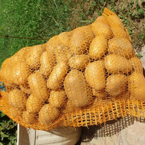 Krumpir 0.60€/kg