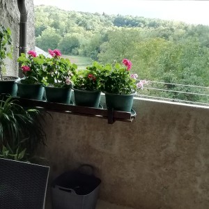 Karojba kuća u nizu