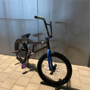 Custom BMX