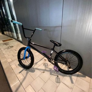 Custom BMX