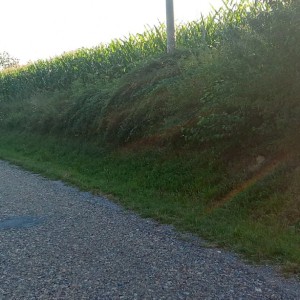 Zemljište