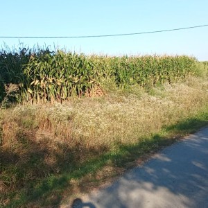 Zemljište