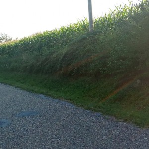 Zemljište
