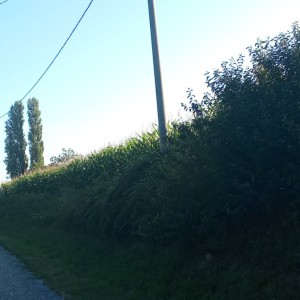 Zemljište