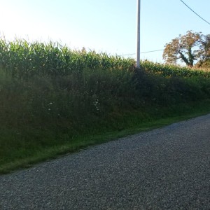 Zemljište