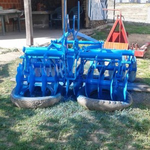 Olt tanjurače