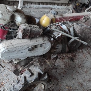 Freza za vrt honda mio standard 600