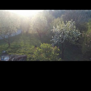 Kuca gornja Stubica