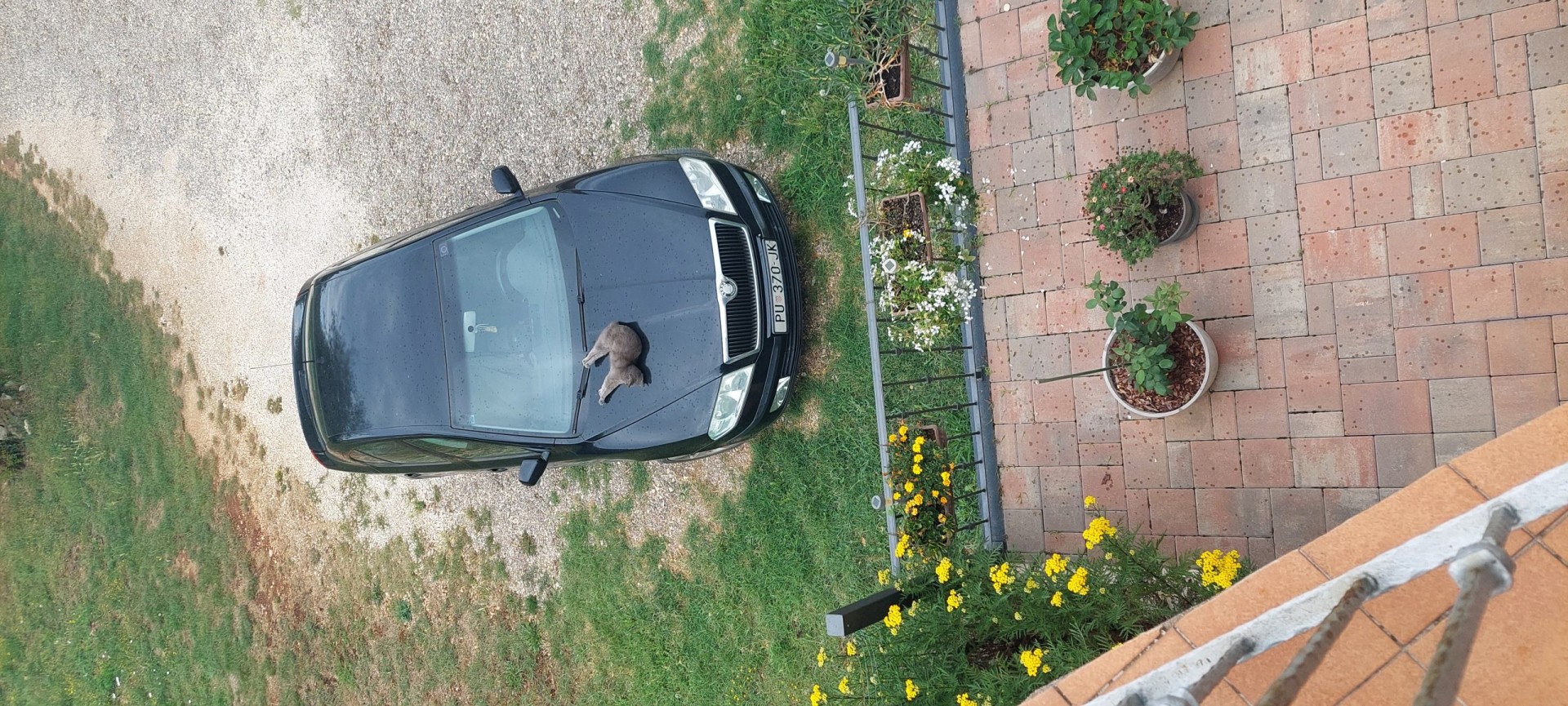 Prodajem Škodu Octaviju 1,9 TDI,prvi vlasnik prešla 160.000km god 2005 reg.02/25