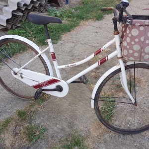 ženski bicikli 26c kotači