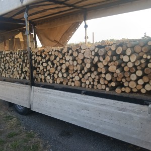 Drva sjecenice od 35e s dovozom