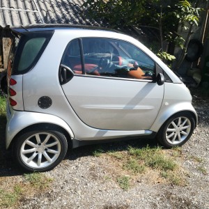 Smart 0.8