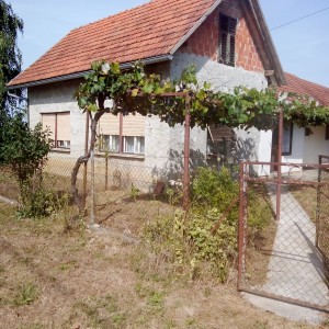 Kuća s gospodarskim objektima i okućnicom, ukupne površine 5750m2