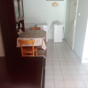 Kuća s gospodarskim objektima i okućnicom, ukupne površine 5750m2