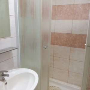 Kuća s gospodarskim objektima i okućnicom, ukupne površine 5750m2