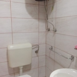 Kuća s gospodarskim objektima i okućnicom, ukupne površine 5750m2