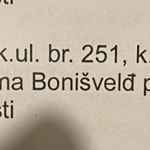 Šuma u Kamencu