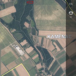 Šuma u Kamencu