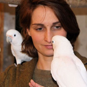 Goffin's Cockatoo Parrots (molimo kontaktirajte)
