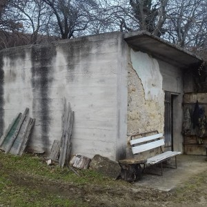 VINOGRAD PLEŠIVICA