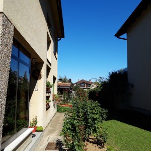 Prodaja kuce Beli Manastir