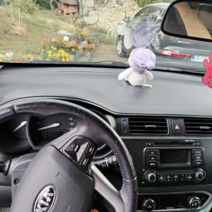 Kia Rio 1.2