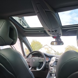 Ds 5
