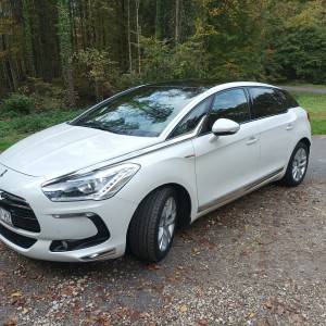 Ds 5