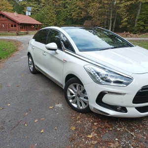 Ds 5