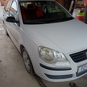 Wv Polo
