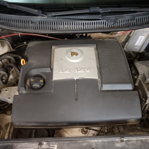Wv Polo