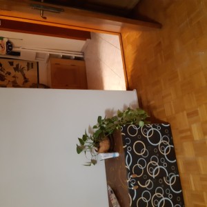 JEDNOSOBAN STAN UTRINA IZNAJJUJEM