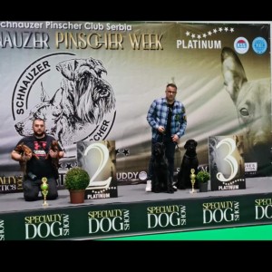 Veliki Crni Snaucer stenci