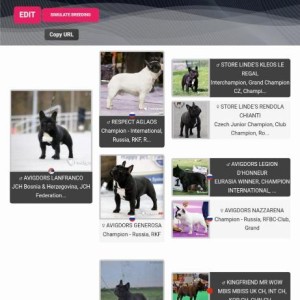 Francuski Buldog PRELEPI štenci