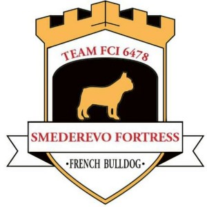 Francuski Buldog PRELEPI štenci
