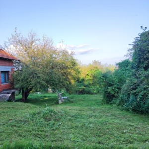 Kuća i okućnica (prodaja)