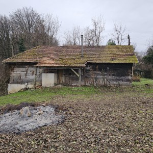 Dajem drvenu kuću
