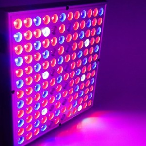 Led Lampa Za Uzgoj Biljaka Sa 144 LED Diode