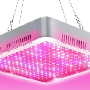 Led Lampa Za Uzgoj Biljaka Sa 240 LED Dioda