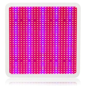 Led Reflektor Za Uzgoj Biljaka 800W