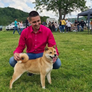 Shiba Inu stenci