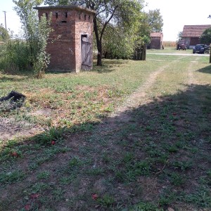 Kuca,dvor i oranica u Lugu Subotickom!