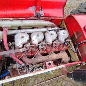 Zetor