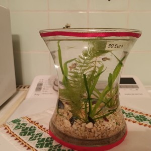 Akvarij šesterokutni, 19 litara